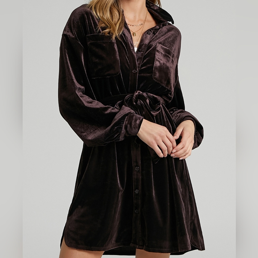 Velvet Button-Down Dress in Brown - Picture 1 of 7